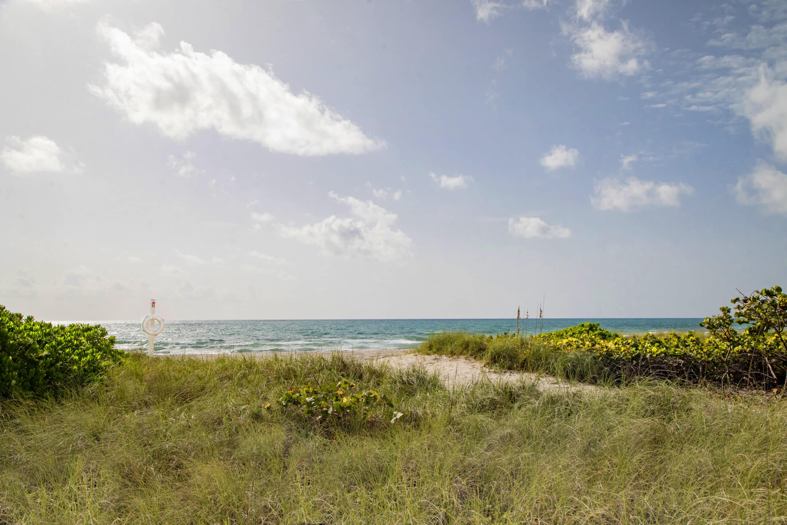 Surf Row Residences
